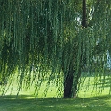 Scenery Montville Duchek 7279